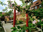Klostergarten mit Harlekin im Frühjahr