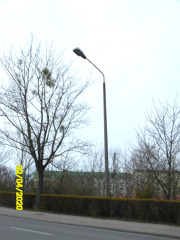 Betonmast mit Lampe in der Brüssower Allee auf der Hochbrücke vorher