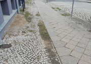 Gehweg mit Kleinstpflaster am Rand und in der Mitte Betonplatten, stark versandeten und verunkrautet, mit gebrochenen Betonplatten.