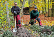 Wie in den Vorjahren schon werden die Mitarbeiter aus dem Grünbereich die Aktion im Stadtforst unterstützen. 